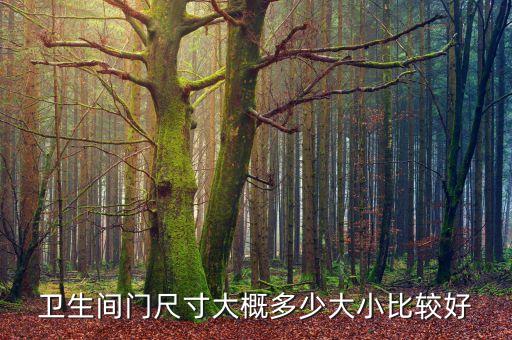 無包套衛(wèi)浴門圖片