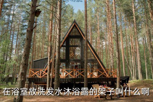 衛(wèi)浴掛件小眾設(shè)計(jì)店鋪圖片