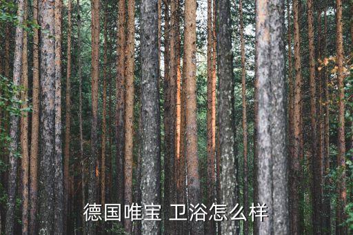 德國(guó)唯寶 衛(wèi)浴怎么樣