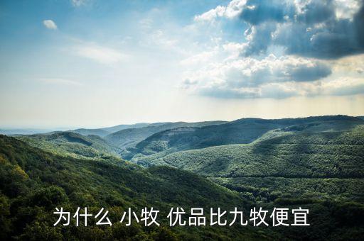 為什么 小牧 優(yōu)品比九牧便宜