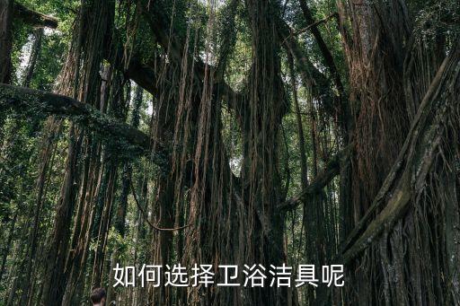 如何選擇衛(wèi)浴潔具呢