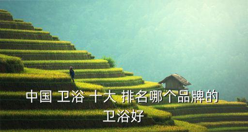 陶瓷衛(wèi)浴十大品牌排名,中國陶瓷衛(wèi)浴十大品牌中潔網(wǎng)