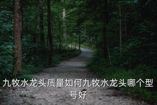 九牧水龍頭質(zhì)量如何九牧水龍頭哪個型號好