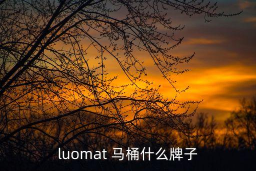 羅馬衛(wèi)浴馬桶推薦哪款品牌