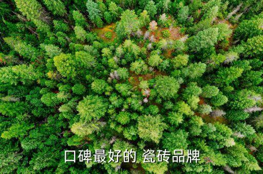 口碑最好的 瓷磚品牌