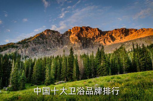 中國(guó)十大衛(wèi)浴品牌排行