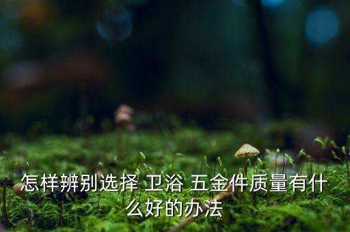 怎樣辨別選擇 衛(wèi)浴 五金件質(zhì)量有什么好的辦法