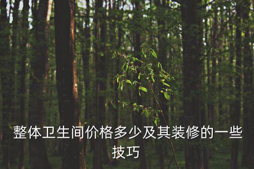  整體衛(wèi)生間價格多少及其裝修的一些技巧