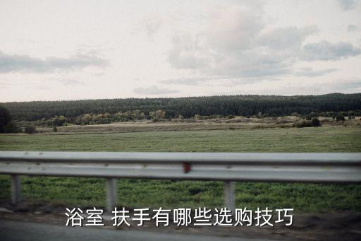 浴室 扶手有哪些選購技巧