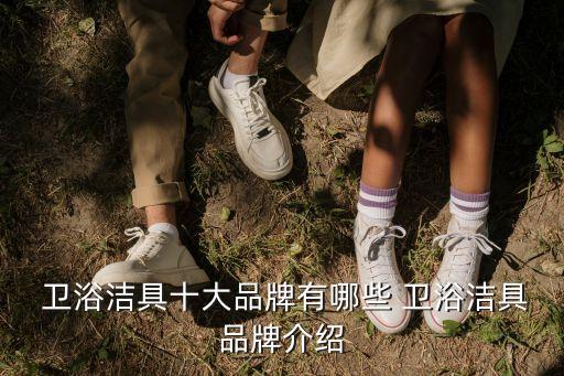  衛(wèi)浴潔具十大品牌有哪些 衛(wèi)浴潔具品牌介紹