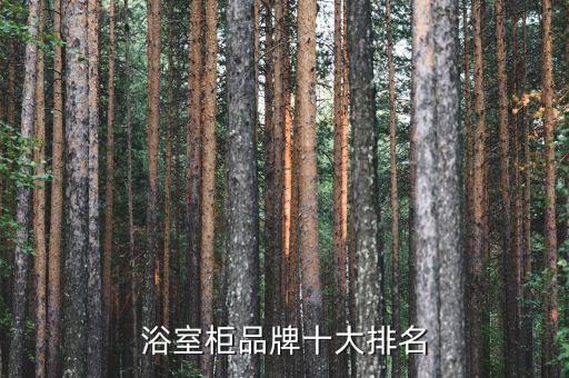 浴室柜品牌十大排名