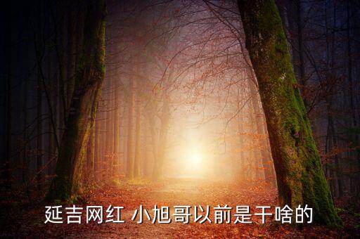 延邊小旭哥衛(wèi)浴地址,小旭哥延邊是誰(shuí)