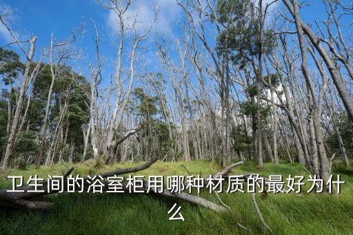 現(xiàn)代輕奢巖板衛(wèi)浴柜圖片