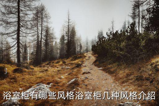 浴室柜有哪些風(fēng)格浴室柜幾種風(fēng)格介紹