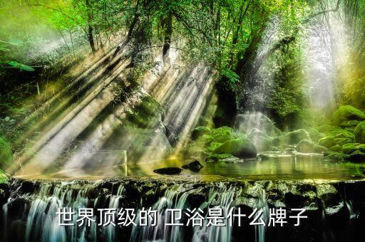 世界頂級(jí)的 衛(wèi)浴是什么牌子