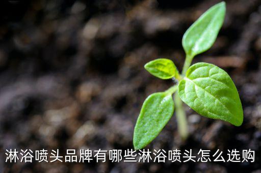 衛(wèi)浴花灑上頂圖片大全,鷹牌衛(wèi)浴花灑圖片