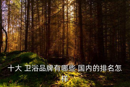 十大 衛(wèi)浴品牌有哪些 國內(nèi)的排名怎樣