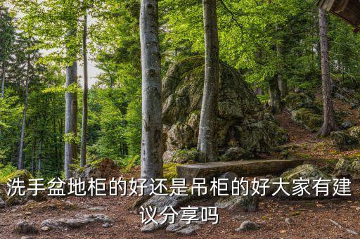 洗手盆地柜的好還是吊柜的好大家有建議分享嗎