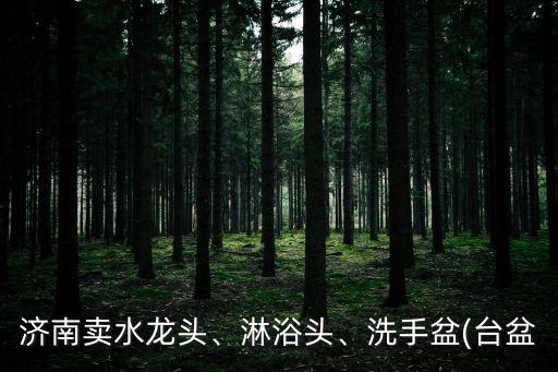 濟(jì)南賣水龍頭、淋浴頭、洗手盆(臺(tái)盆