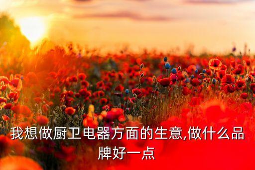 我想做廚衛(wèi)電器方面的生意,做什么品牌好一點