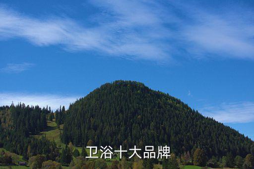  衛(wèi)浴十大品牌