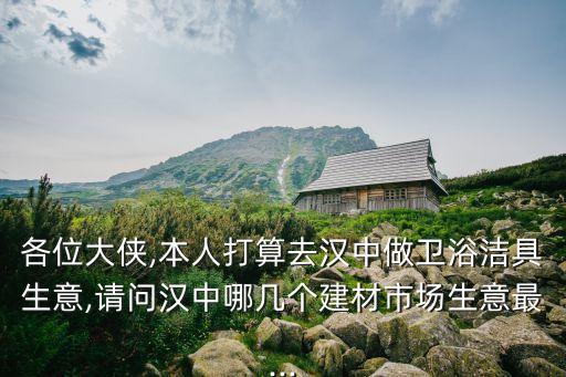 各位大俠,本人打算去漢中做衛(wèi)浴潔具生意,請(qǐng)問(wèn)漢中哪幾個(gè)建材市場(chǎng)生意最...