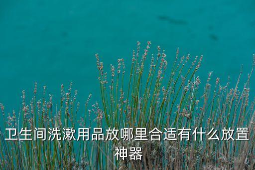 衛(wèi)生間洗漱用品放哪里合適有什么放置 神器