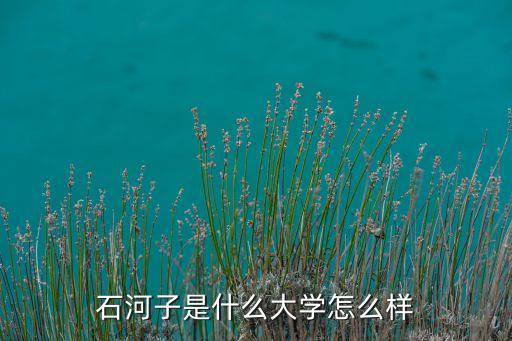 石河子是什么大學(xué)怎么樣