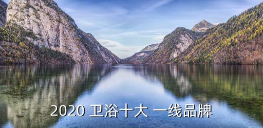 2020 衛(wèi)浴十大 一線品牌