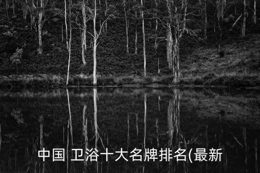 中國 衛(wèi)浴十大名牌排名(最新