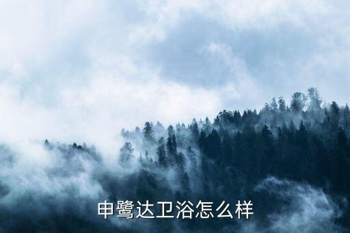申鷺達(dá)衛(wèi)浴怎么樣