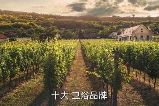 潮流衛(wèi)浴是哪個(gè)公司的品牌