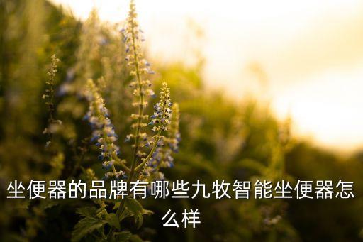 坐便器的品牌有哪些九牧智能坐便器怎么樣