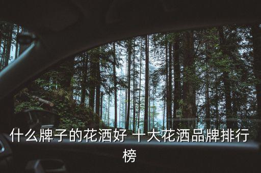 什么牌子的花灑好 十大花灑品牌排行榜