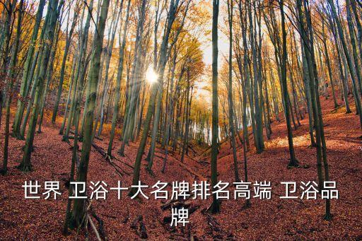 世界 衛(wèi)浴十大名牌排名高端 衛(wèi)浴品牌