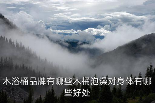 木質(zhì)衛(wèi)浴旗艦店鋪圖片高清
