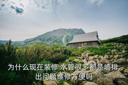 為什么現(xiàn)在裝修 水管很多都是墻排,出問題維修方便嗎