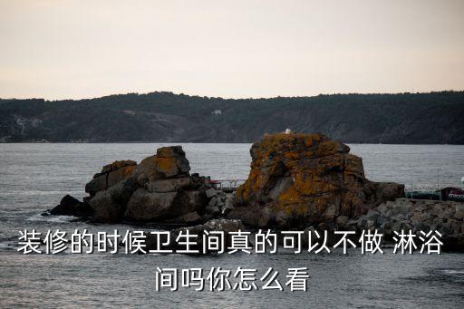 裝修的時(shí)候衛(wèi)生間真的可以不做 淋浴間嗎你怎么看