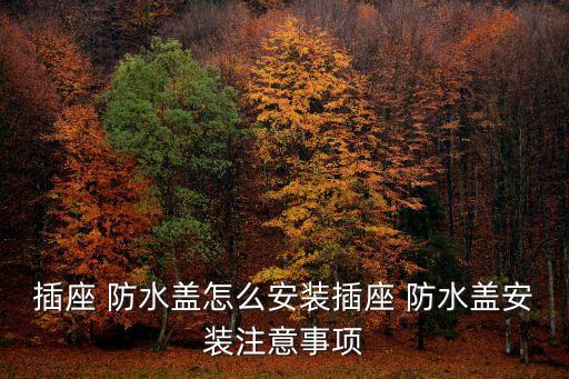衛(wèi)浴防水插排圖片大全集