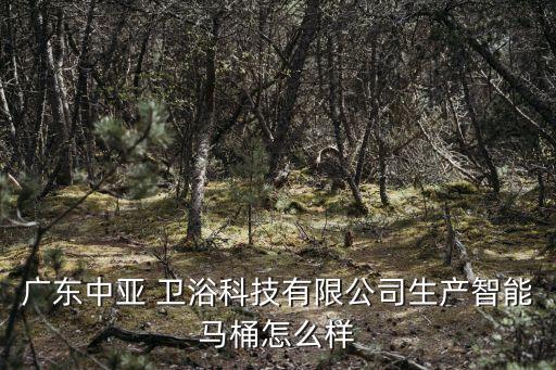 廣東中亞 衛(wèi)浴科技有限公司生產(chǎn)智能馬桶怎么樣