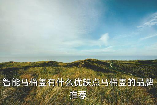 衛(wèi)浴各品牌的優(yōu)劣勢(shì)有哪些