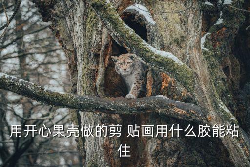 用開(kāi)心果殼做的剪 貼畫(huà)用什么膠能粘住