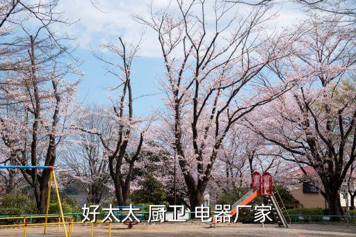宜昌廚衛(wèi)電器衛(wèi)浴批發(fā)電話