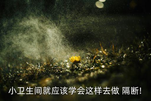 小衛(wèi)生間就應(yīng)該學(xué)會這樣去做 隔斷!