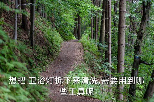 想把 衛(wèi)浴燈拆下來(lái)清洗,需要用到哪些工具呢