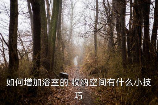 衛(wèi)浴隔斷收納方法圖片欣賞