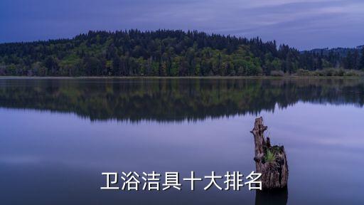 衛(wèi)浴潔具十大排名