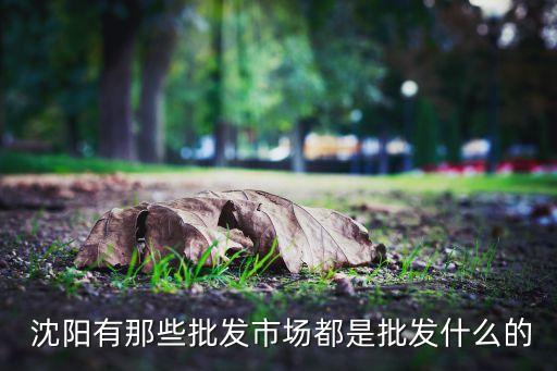  沈陽(yáng)有那些批發(fā)市場(chǎng)都是批發(fā)什么的