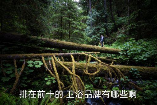 排在前十的 衛(wèi)浴品牌有哪些啊