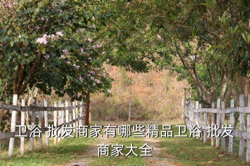 衛(wèi)浴 批發(fā)商家有哪些精品衛(wèi)浴 批發(fā)商家大全